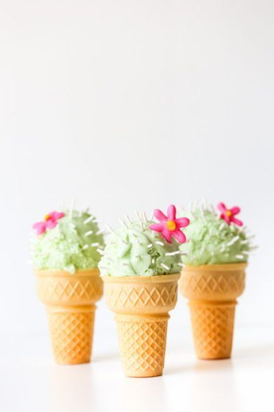 Nieves con forma de cactus para fiesta